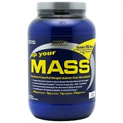 Заказать MHP Up Your Mass 908 гр